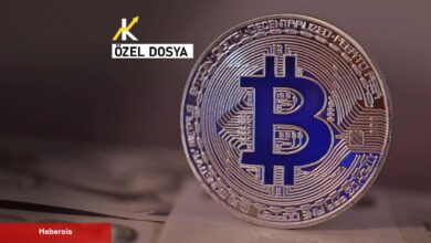 Kayıp BTC’ler nereye gidiyor? Ölçü milyarlarca doları aştı…