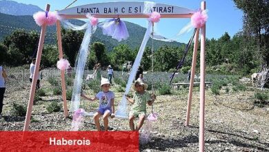 Kemer'de "Lavanta Bahçesi" tanıtım etkinlikleri devam ediyor - Haberois Kemer'de "Lavanta Bahçesi" tanıtım etkinlikleri devam ediyor