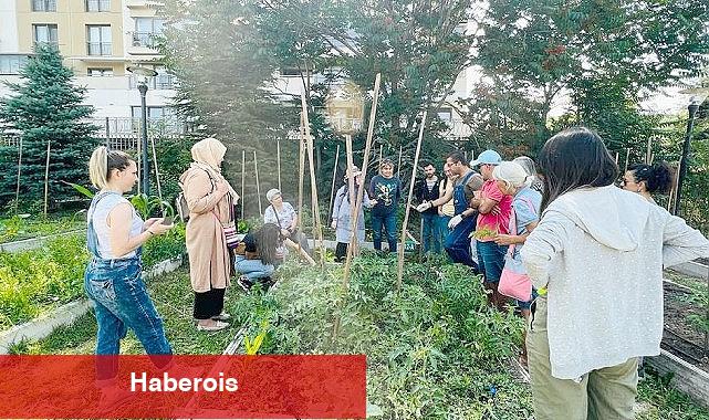 Kent ortasında Ekolojik tarım - Haberois Kent ortasında Ekolojik tarım