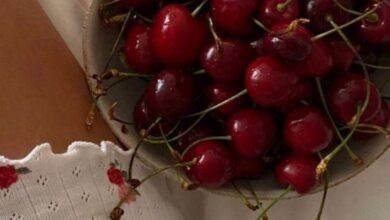 Kiraz sapı çayının yararları ve tanımı - Haberois Kiraz sapı çayının yararları ve tanımı