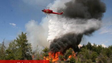 Kocaeli İtfaiyesi orman yangınlarına karşı uyardı - Haberois Kocaeli İtfaiyesi orman yangınlarına karşı uyardı