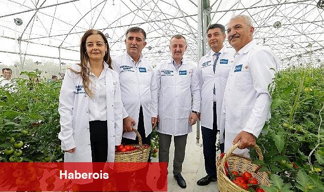 Kocaeli'de topraksız tarımla sebze ve meyve yetiştiriliyor