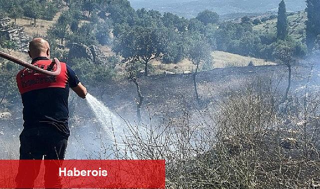 Koçarlı'daki yangın kontrol altına alındı - Haberois Koçarlı'daki yangın kontrol altına alındı