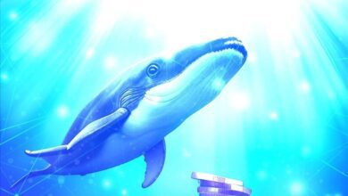 Kripto Para Balinaları Bu Hafta Hangi Coinleri Alıyor? - Haberois Kripto Para Balinaları Bu Hafta Hangi Coinleri Alıyor?