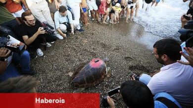 Lara Barut Collection'ın destekleri ile denizle buluşan Caretta Caretta, bir yılda 3000 km yol katetti