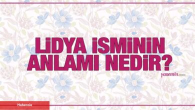 Lidya isminin manası nedir? Lidya ismi Kuran'da geçiyor mu? Lidya isminde kaç kişi var? - Haberois Lidya isminin manası nedir? Lidya ismi Kuran'da geçiyor mu? Lidya isminde kaç kişi var?