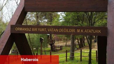 Lüleburgaz Kent Ormanına bu yılın ilk 6 ayında 64 bin 500 ziyaretçi geldi.