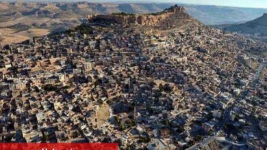 "Mardin Tarihi Dönüşüm İdaresi Başkanlığı Kurulmalı ” - Haberois "Mardin Tarihi Dönüşüm İdaresi Başkanlığı Kurulmalı ”