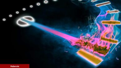 MATIC, UNI, BNB, StarkNet Duyuru Yaptı: Bilmeniz Gerekenler!