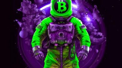 ‘Mega Koşu’ 7 Ünlü Bitcoin Analistinden Kripto Tahminleri!