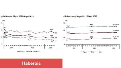 Mevsim etkisinden arındırılmış işsizlik oranı yüzde 9,5 seviyesinde gerçekleşti