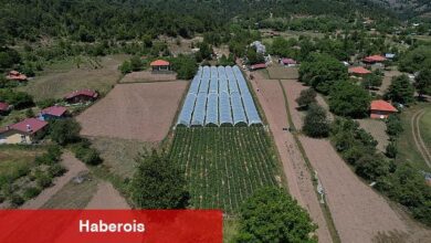 Muğla Büyükşehir Belediyesi destekleriyle Migros'ta çilek satışına başlayan üreticiler Köyceğiz'in yaylalarında yetişen ürünleri vatandaşla buluşturmanın mutluluğunu yaşıyor. - Haberois Muğla Büyükşehir Belediyesi destekleriyle Migros'ta çilek satışına başlayan üreticiler Köyceğiz'in yaylalarında yetişen ürünleri vatandaşla buluşturmanın mutluluğunu yaşıyor.