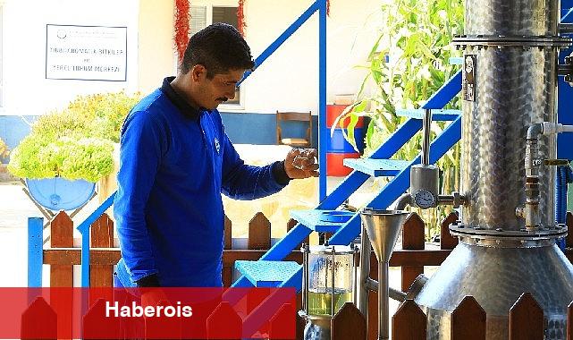 Muğla Büyükşehir Distilasyon Tesisi Muğla'nın Aromatik Bitkileri'ni İşliyor - Haberois Muğla Büyükşehir Distilasyon Tesisi Muğla'nın Aromatik Bitkileri'ni İşliyor