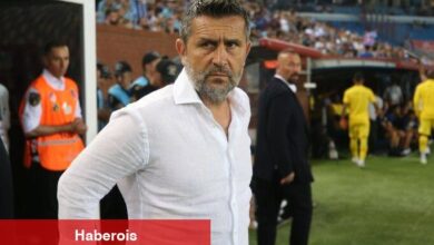 Nenad Bjelica'dan transfer açıklaması!