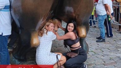 New York'ta turistlerin tacizine uğrayan boğa! Turistler bunu neden yapıyor?