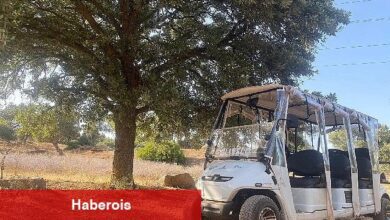 Olivelo Yaşayan Park'ta safari turları yarın başlıyor - Haberois Olivelo Yaşayan Park'ta safari turları yarın başlıyor