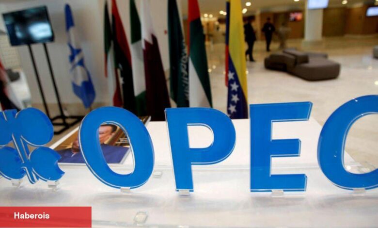 OPEC'in 2022 petrol ihracat gelirleri 8 yılın doruğunda