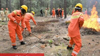 Orman yangınları yüzde 90 insan kaynaklı! - Haberois Orman yangınları yüzde 90 insan kaynaklı!