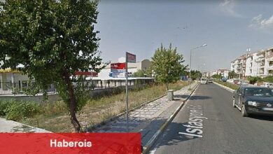 Otluk alandan yeşil alana - Haberois Otluk alandan yeşil alana