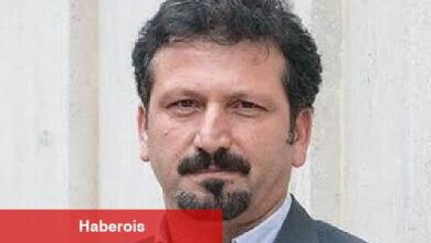 Prof. Dr. Murat Arslan: Düzenli Veteriner Hekim Kontrolleri Yalnızca Kedilerin Değil, İnsanların da Sağlığını Korur! - Haberois Prof. Dr. Murat Arslan: Düzenli Veteriner Hekim Kontrolleri Yalnızca Kedilerin Değil, İnsanların da Sağlığını Korur!