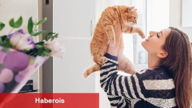 Ruhsal Bağışıklığı Güçlü Tutmak İçin 9 Öneri