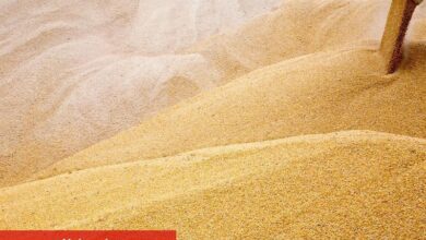 Rusya'nın saldırısı sonrasında tahıl fiyatları uçtu - Haberois Rusya'nın saldırısı sonrasında tahıl fiyatları uçtu