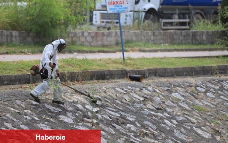 Sakarya Belediyesi Çark Deresi'ni temizledi