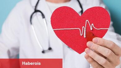 Sıcak havalarda kalp daha çok özem istiyor - Haberois Sıcak havalarda kalp daha çok özem istiyor