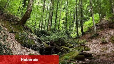 Suuçtu Şelalesi ziyaretçi akınına uğradı