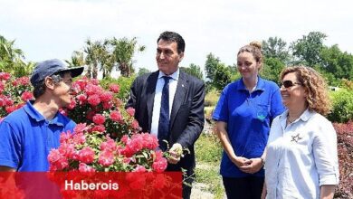 Tarihi İnkaya Çınarı Geleceğe Taşınıyor