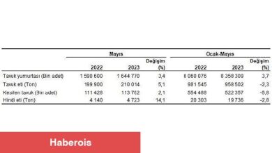 Tavuk eti üretimi 210 bin 14 ton, tavuk yumurtası üretimi 1,64 milyar adet olarak gerçekleşti