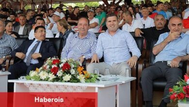 Tayfun Canlı: Edremit'in zeytinyağıKırkpınar yolcusu! - Haberois Tayfun Canlı: Edremit'in zeytinyağıKırkpınar yolcusu!