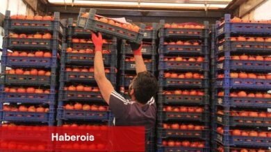 TCMB'ye nazaran minimum fiyat artışı enflasyonu ne kadar etkileyecek? - Haberois TCMB'ye nazaran minimum fiyat artışı enflasyonu ne kadar etkileyecek?