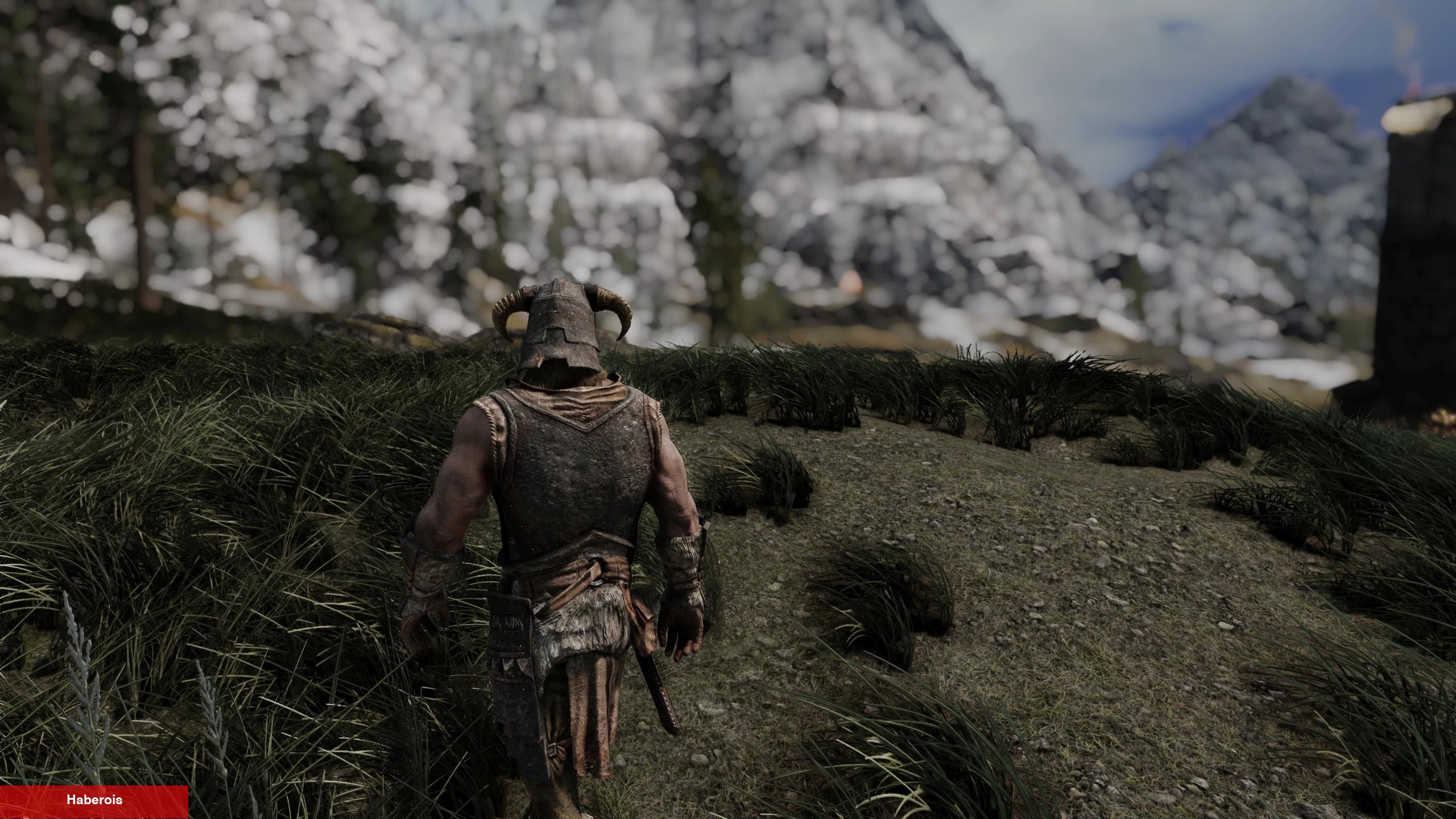 The Elder Scrolls V: Skyrim için 8K Doku Paketi Yayınlandı