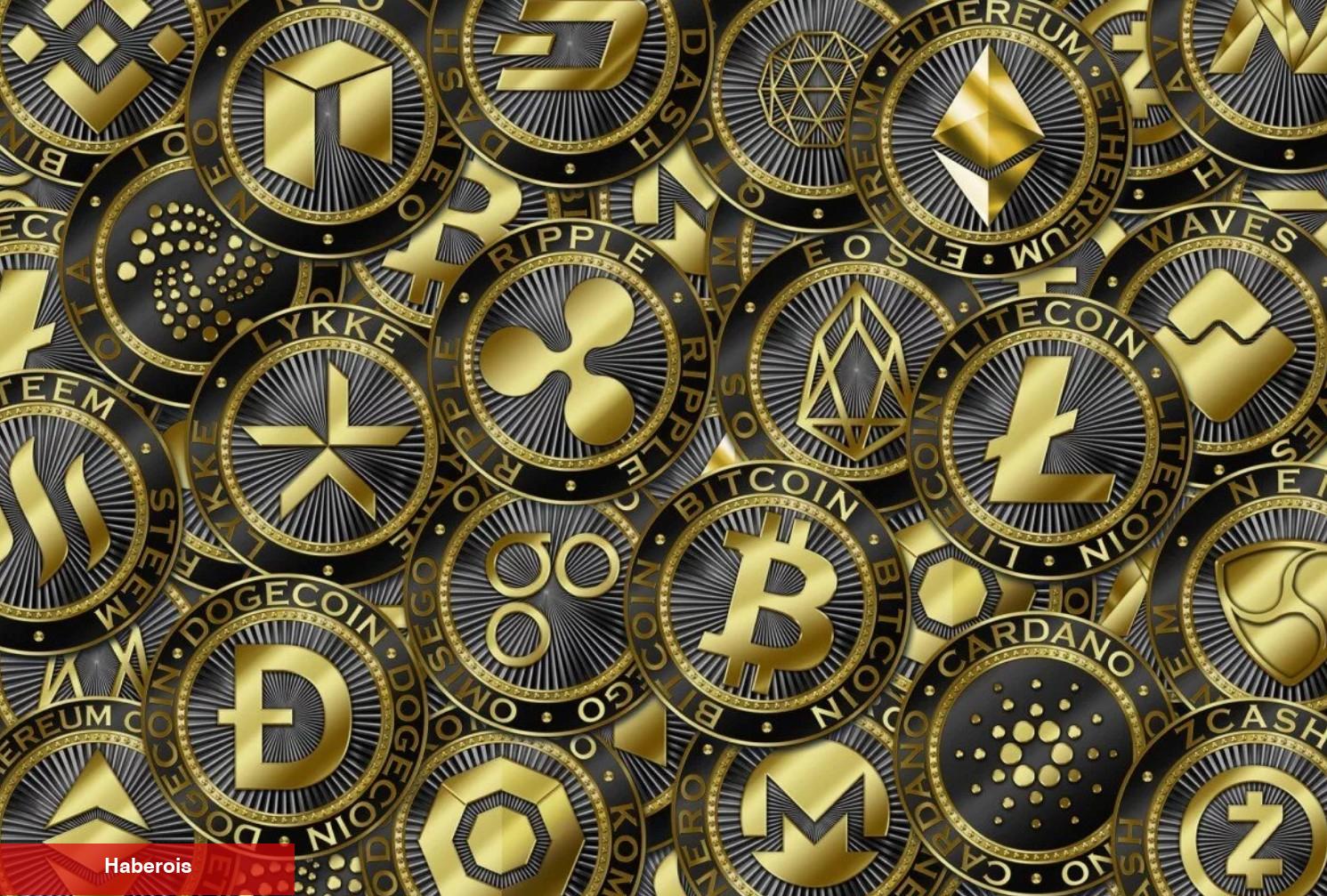 Türk Analist: Bu 48 Altcoin Keskin Artışlar Görebilir!