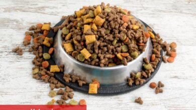 Türkiye dünyanın mama ihtiyacını karşılıyor