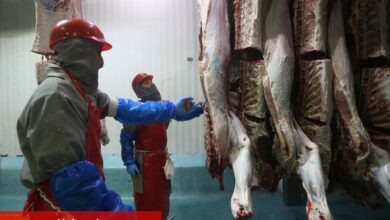 Türkiye'nin ABD'ye su ürünleri ve hayvansal mamulleri ihracatında orta vadede hedef 250 milyon dolar