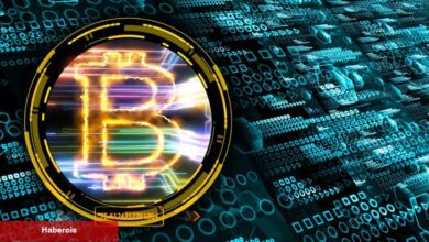 Türklerin de Kullandığı Bitcoin Borsasında Sorun!