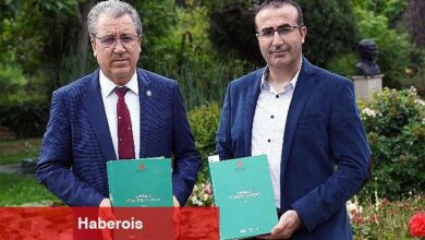 Üç üniversitenin akademisyenlerinin ortak çalışması ile yeni bir lale türü keşfedildi