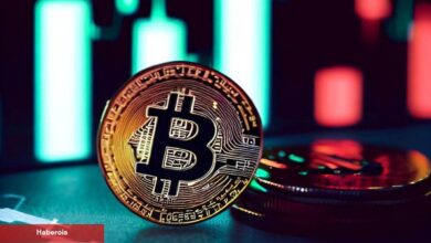 Ünlü Analist, Bitcoin İçin 2x’lik Ralliyi Haritaladı: Evvel O Seviye! - Haberois Ünlü Analist, Bitcoin İçin 2x’lik Ralliyi Haritaladı: Evvel O Seviye!