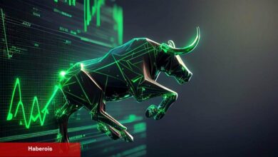 Usta Analist Açıkladı: O Altcoin’de Boğa Koşusu Geliyor!