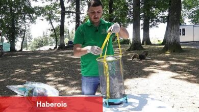 Vektör mücadelesinde karasinek tuzağı