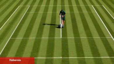 Wimbledon Çimenleri Bazı Oyuncuları Teniste Kötü Hissediyor - Haberois Wimbledon Çimenleri Bazı Oyuncuları Teniste Kötü Hissediyor