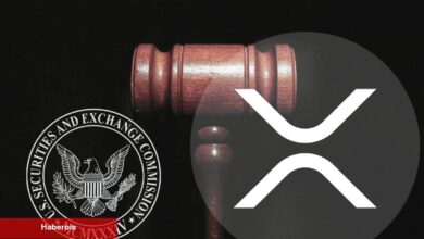 XRP Kararı Sonrası Meclis, Maddeyi Revize Etti! İşte İçeriği - Haberois XRP Kararı Sonrası Meclis, Maddeyi Revize Etti! İşte İçeriği