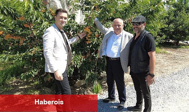 Yahyalı'dan Dünya'nın bir çok bölgesine kiraz ihracatı yapılıyor - Haberois Yahyalı'dan Dünya'nın bir çok bölgesine kiraz ihracatı yapılıyor