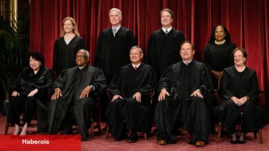 Yargıtay'a Daha Fazla Gelir: Milyon Dolarlık Kitap Fırsatları - Haberois Yargıtay'a Daha Fazla Gelir: Milyon Dolarlık Kitap Fırsatları