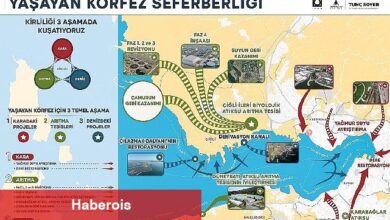 Yaşayan Körfez programı ile Körfez'deki iyileşme hızlandı - Haberois Yaşayan Körfez programı ile Körfez'deki iyileşme hızlandı