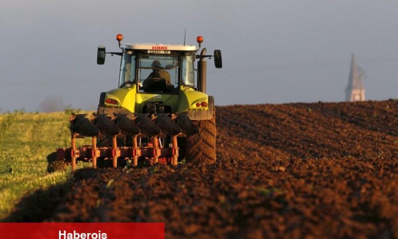 Yayla Agro, kredi anlaşması yaptı - Haberois Yayla Agro, kredi anlaşması yaptı