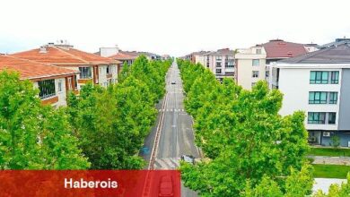 "Yıllar önce dikilen ağaçlar yeşil koridor oluşturdu"