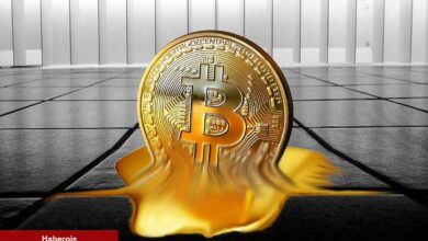 Yüzmilyonluk Bitcoin Skandalı, Gürcü Milyarderi Mahkemelik Etti!
